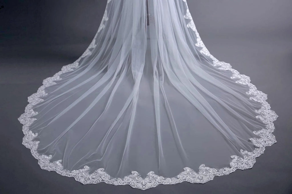 Wedding Veils - Lace Edge Cathedral Bridal Veil