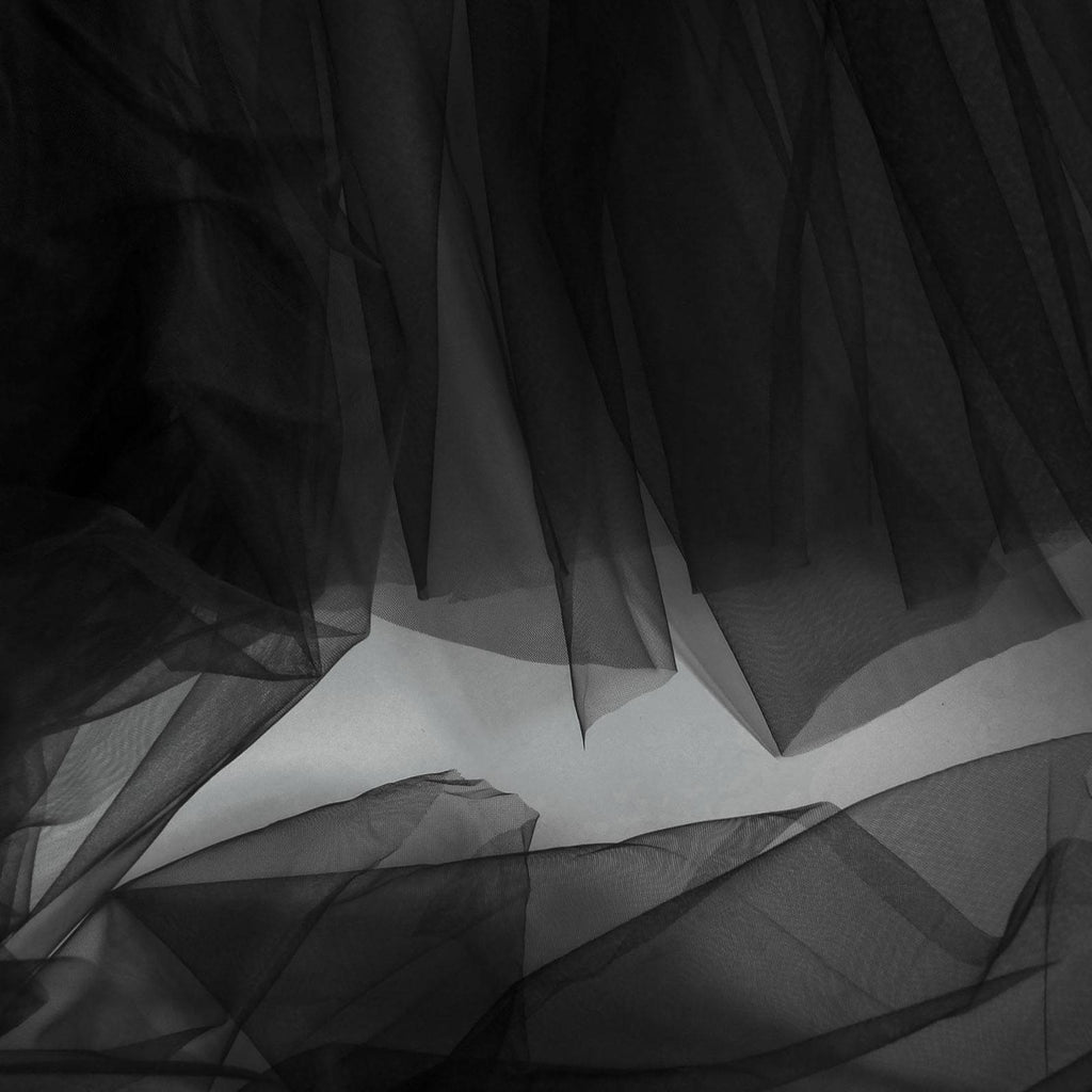 Wedding Veils - Black Lace Edge Cathedral Bridal Veil