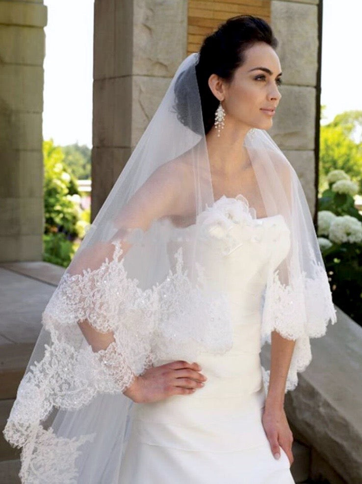 Wedding Veils - Lace Edge Cathedral Bridal Veil - Available in White and Ivory